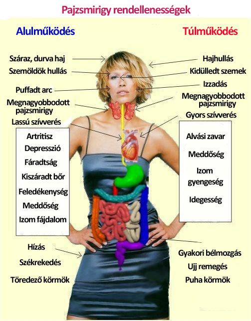 magas vérnyomás pajzsmirigy alulműködés hipertónia könyvtár